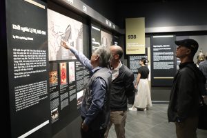 577992963 1464022699064171 2187666906372478565 n